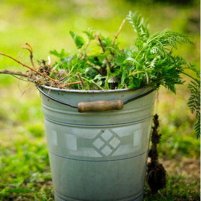 metal bucket with yard debris